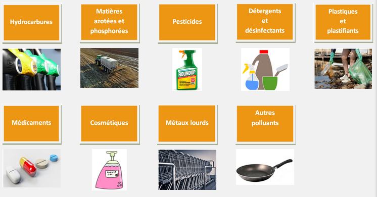 9 classes de polluants : hydrocarbures, matières azotées et phosphorées, pesticides, détergents et désinfectants, plastiques et plastifiants, médicaments, cosmétiques, métaux lourds et autres polluants