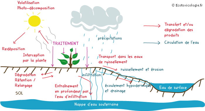 Schéma de la dispersion d'un pesticide dans l'environnement