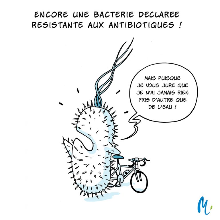 Encore une bactérie déclarée résistante aux antibiotiques ! "Mais puisque je vous jure que je n'ai jamais rien pris d'autre que de l'eau !"