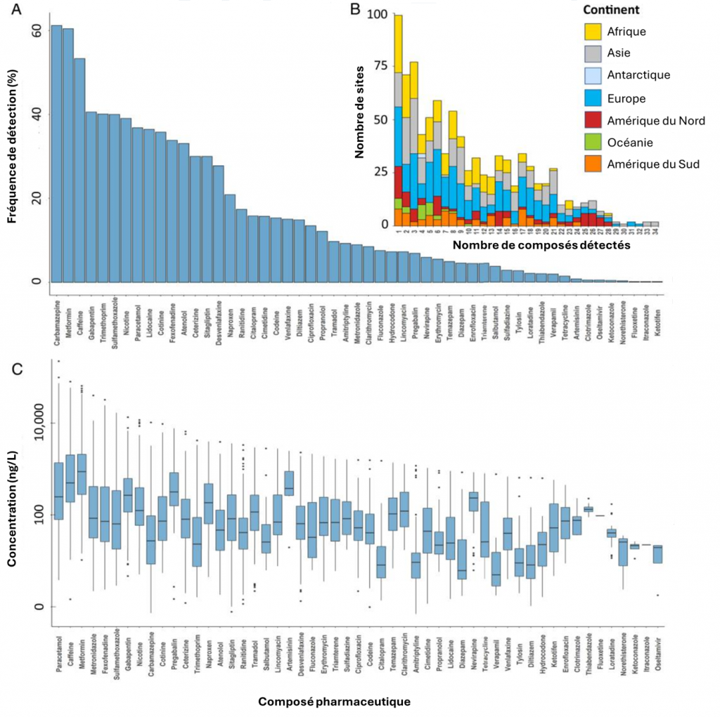 Deux graphiques représentant les fréquences de détection et concentration des résidus de médicaments ciblés dans l'étude dans les rivières à l'échelle mondiale