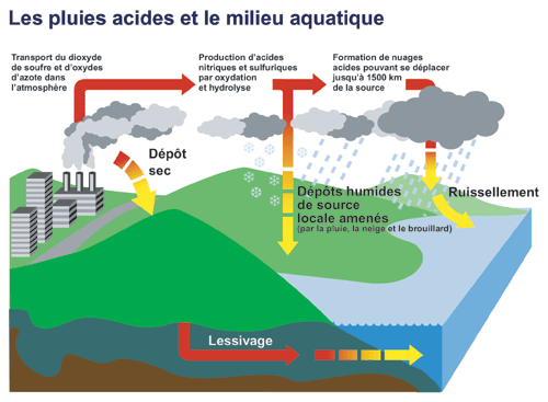 Schéma : Acidification des eaux de surface : de l'émission des polluants jusqu'aux dépôts acides