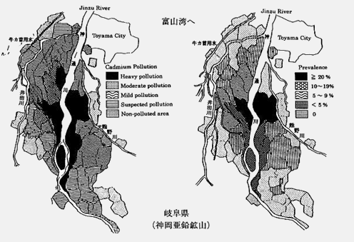 Cartes de la province de Toyoma présentant le degré de pollution au cadmium
et la proportion de femmes de plus de 50 ans présentant des symptômes de la maladie