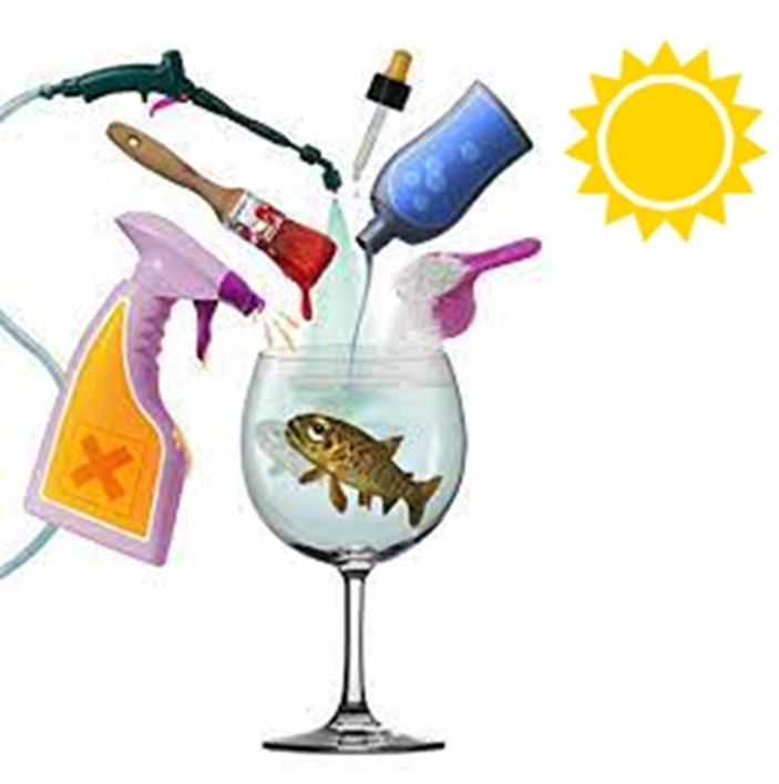 Cocktail polluants changement climatique sur les poissons 