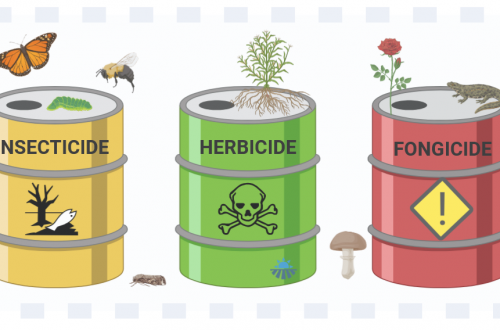 Insecticide, herbicide, fongicide, danger