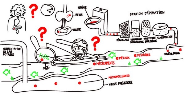 Dessin enfantin représentant le trajet d'un médicament, de son ingestion jusqu'à son arrivée dans le milieu aquatique
