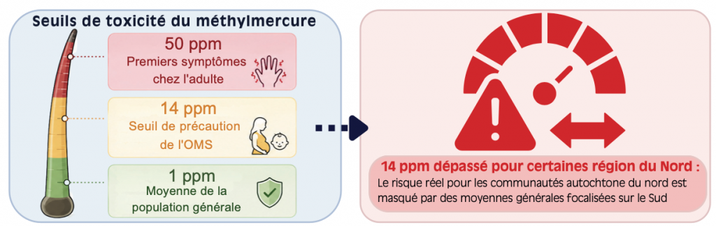 Illustration des seuils de toxicité du méthylmercure et du risque pour certaines régions du Nord Québécois